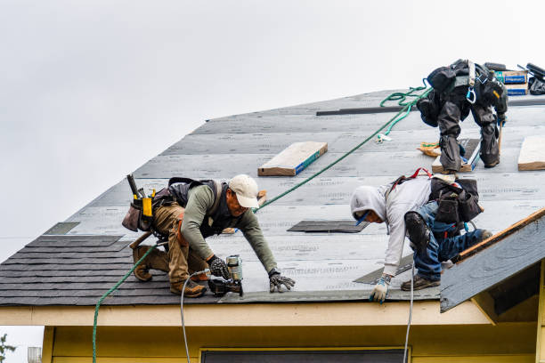 Professional Gutter Installation technician working in Finley, TN